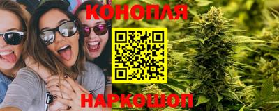 гидра Дубна