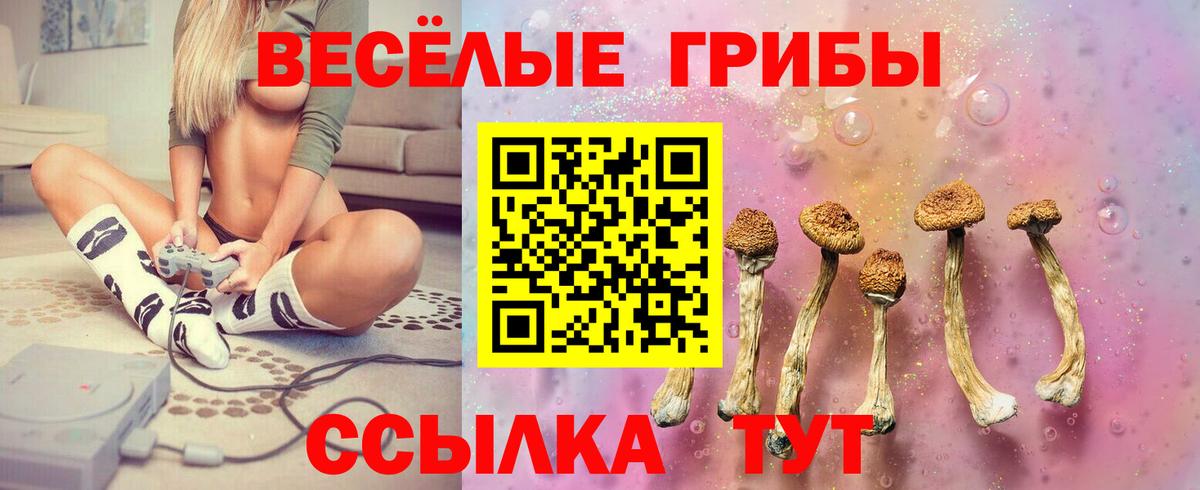 Галлюциногенные грибы ЛСД Малгобек